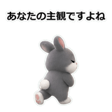 859605255