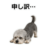 859714010