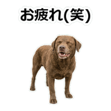 859714219