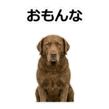 859714229