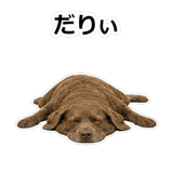 859714233