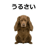 859714235