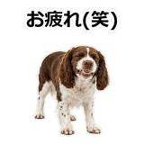 859714259