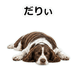 859714273