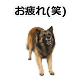 859714363