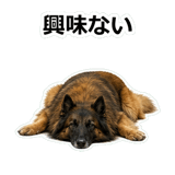 859714367
