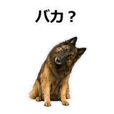 859714375