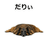 859714377