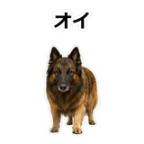 859714378