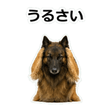 859714379