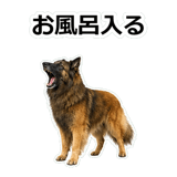 859714381
