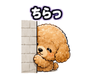 859714553