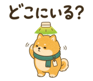 859714643