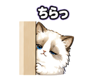859714666