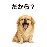 859714694