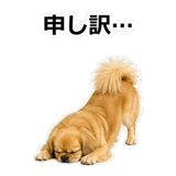 859714698
