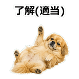 859714702