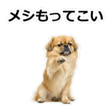 859714713