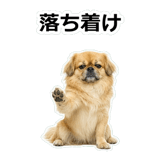 859714715