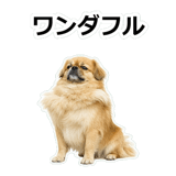 859714718