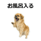 859714725