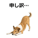 859714866