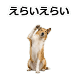 859714873
