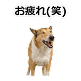 859714875
