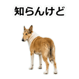 859714877