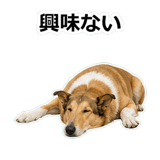 859714879