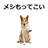 859714881