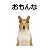 859714885
