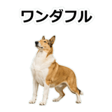 859714886