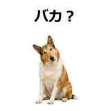 859714887