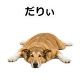 859714889