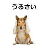 859714891