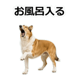 859714893