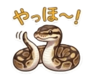 859724443