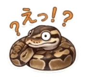 859724445
