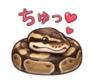 859724446