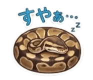 859724448