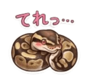 859724453
