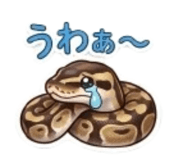 859724454