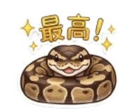859724455