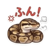 859724456