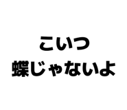 859724991