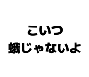 859724992