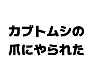 859724995
