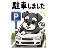 859725162