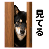 859725218